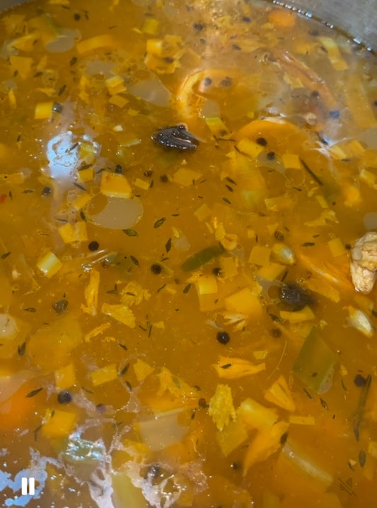 Nourishing bone broth soup